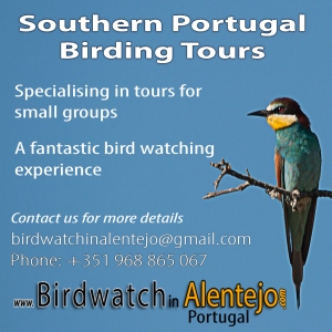 birdwatchinalentejo_advertise1